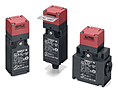 D4NS Safety-door Switch